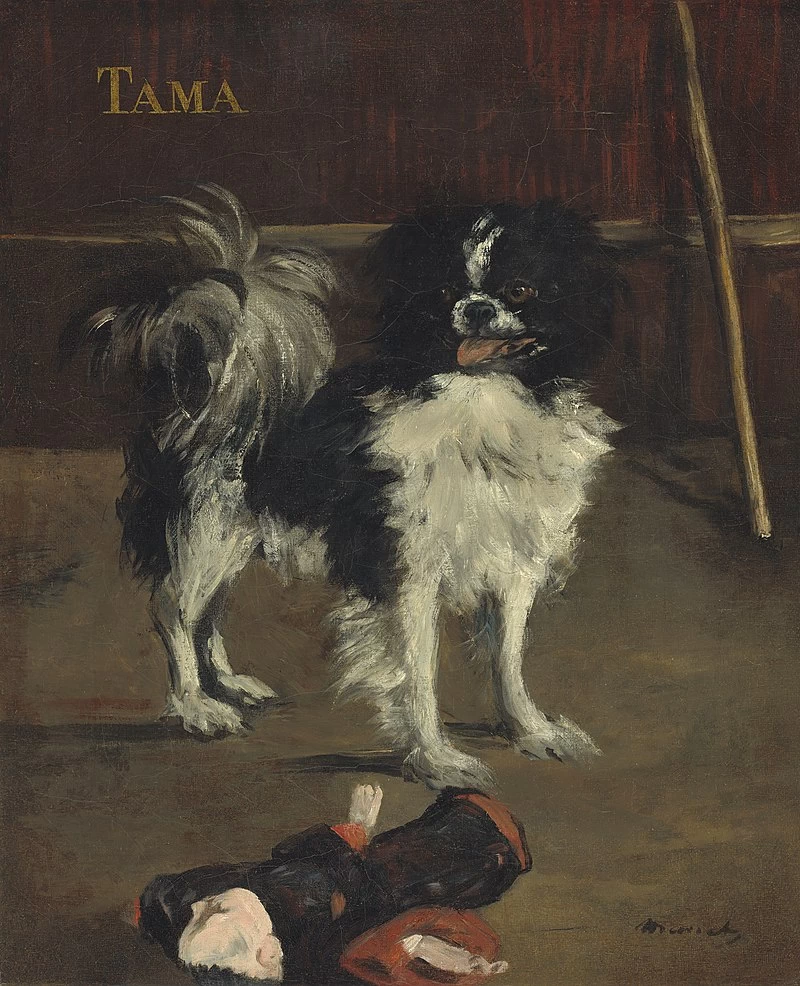  332-Édouard Manet, Tama, il cane giapponese, c. 1875-National Gallery of Art, Washington 